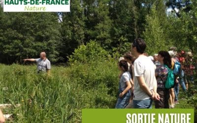 𝗦𝗢𝗥𝗧𝗜𝗘 𝗡𝗔𝗧𝗨𝗥𝗘 – MARAIS DES FASCINES – Dimanche 18 mai