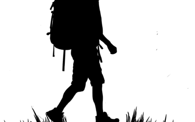 Parcours de randonnées de Breuil-le-Sec