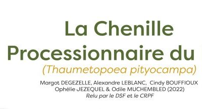 Information sur les chenilles processionnaires